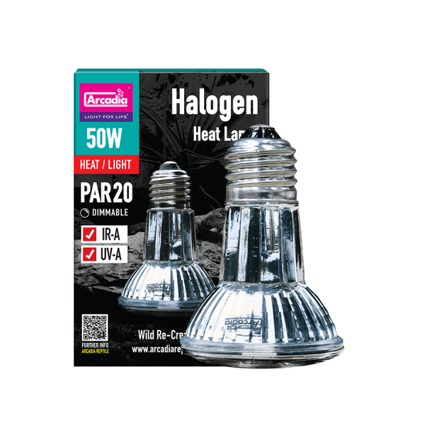 Halogen Heat Lamp